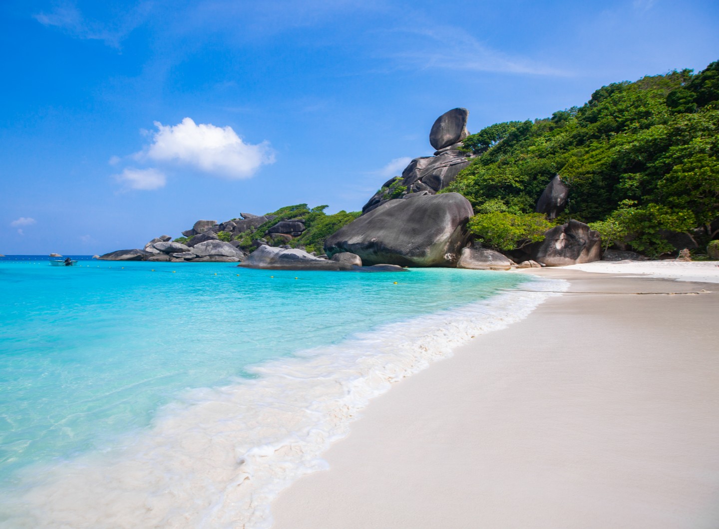 From Krabi : Similan Islands Snorkeling Trip by Speedboat