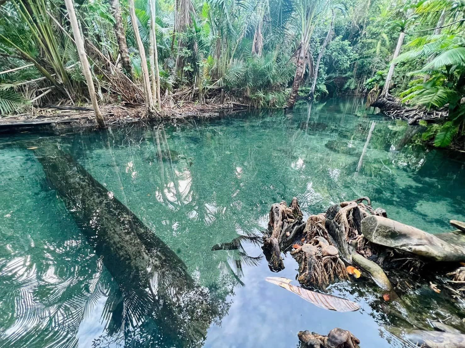 Krabi : Kayaking at Klong Root – Klong Namsai