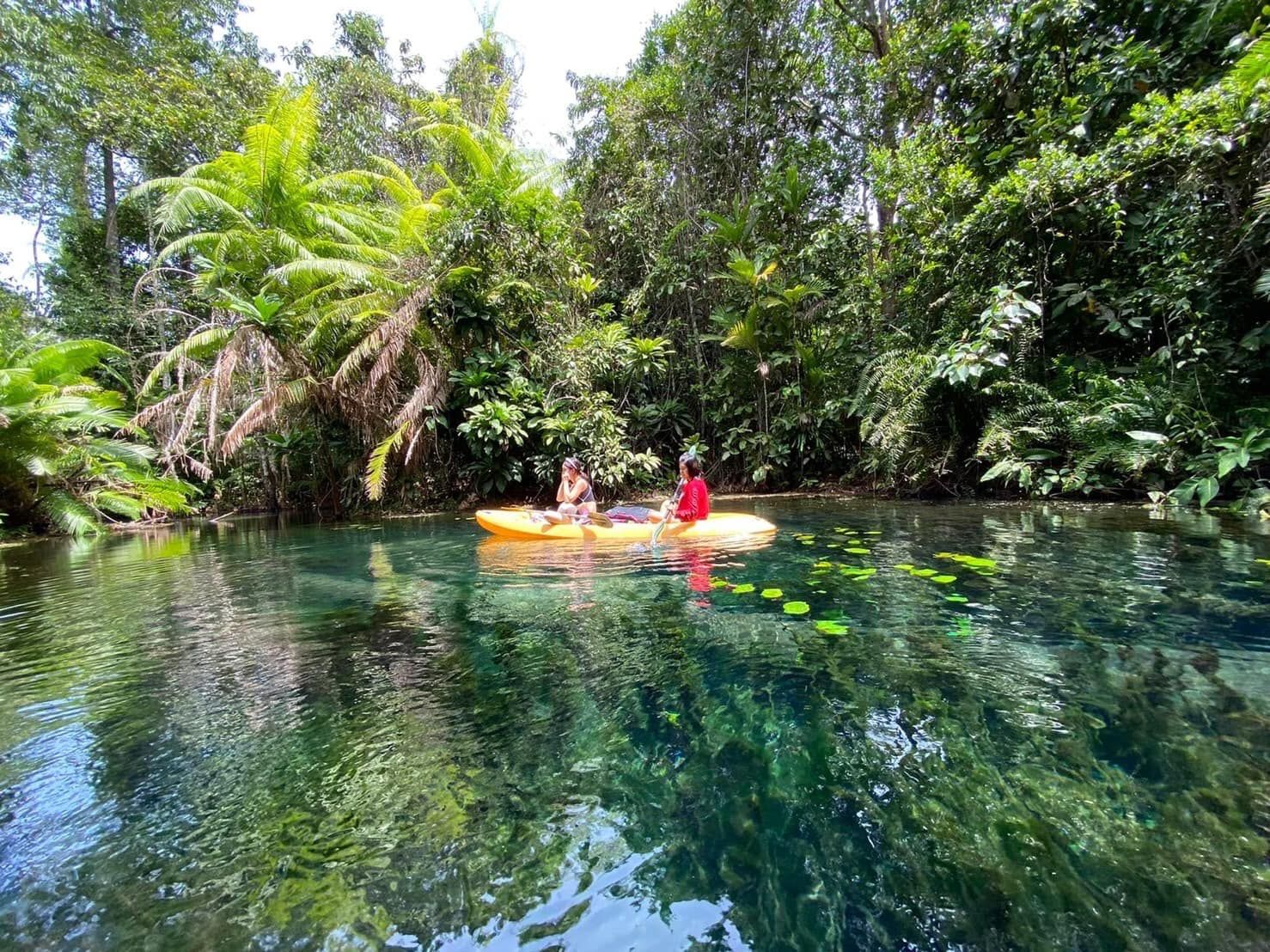 Krabi : Kayaking at Klong Root – Klong Namsai