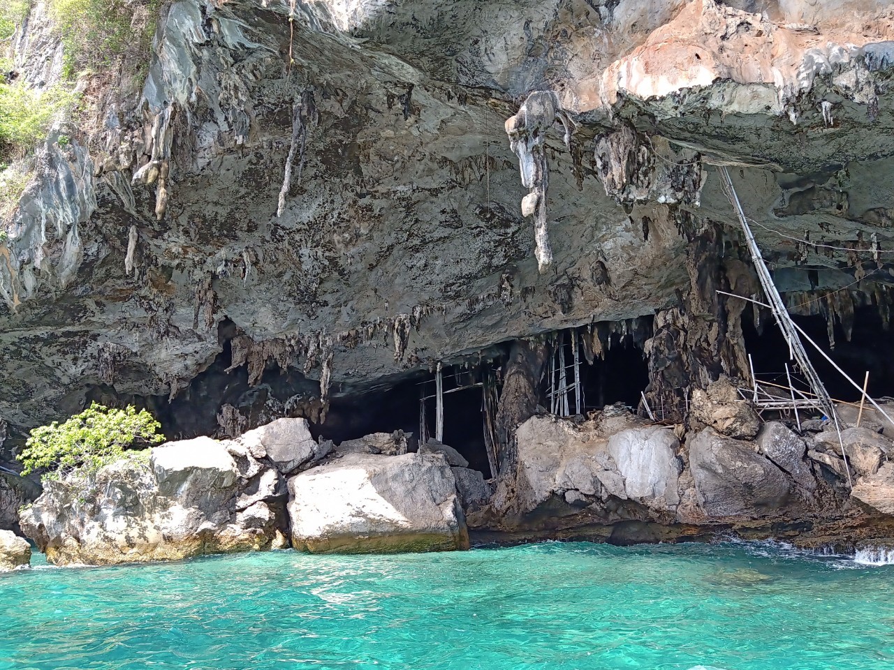 Krabi :  Early Bird Phi Phi + 4 Islands with Lunch