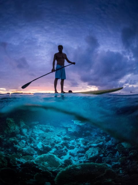 Railay: Illuminated Clear Kayak Night Tour Bioluminescence