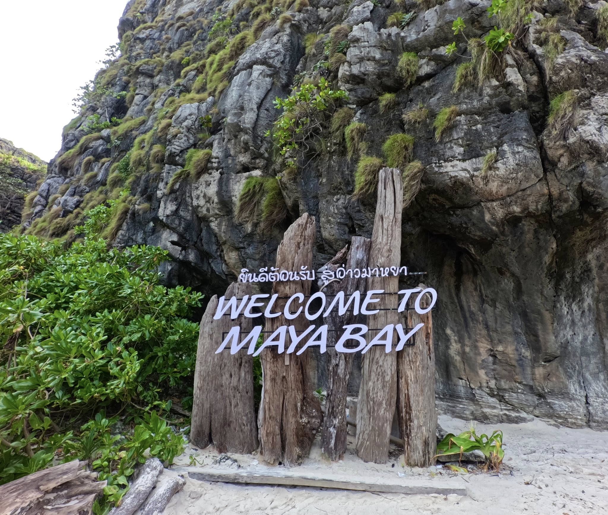 Krabi : Phi Phi Islands Maya Bay + Sunset 4 Island by Speedboat with Lunch