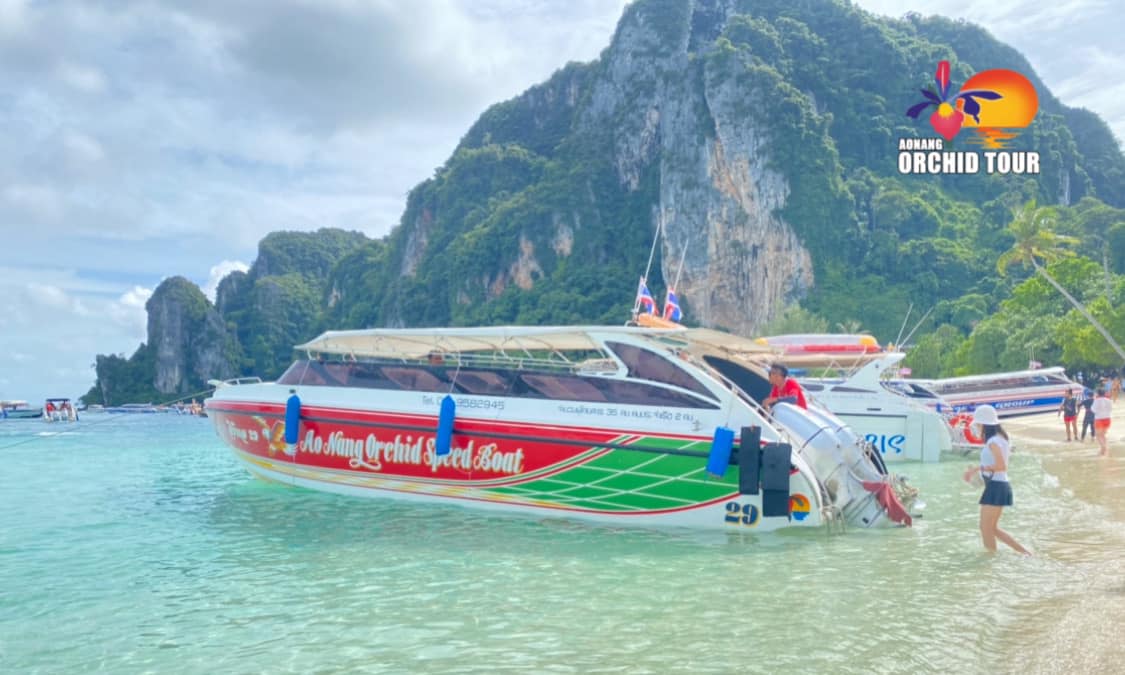 Krabi : Phi Phi Islands Private Trip by Speed boat