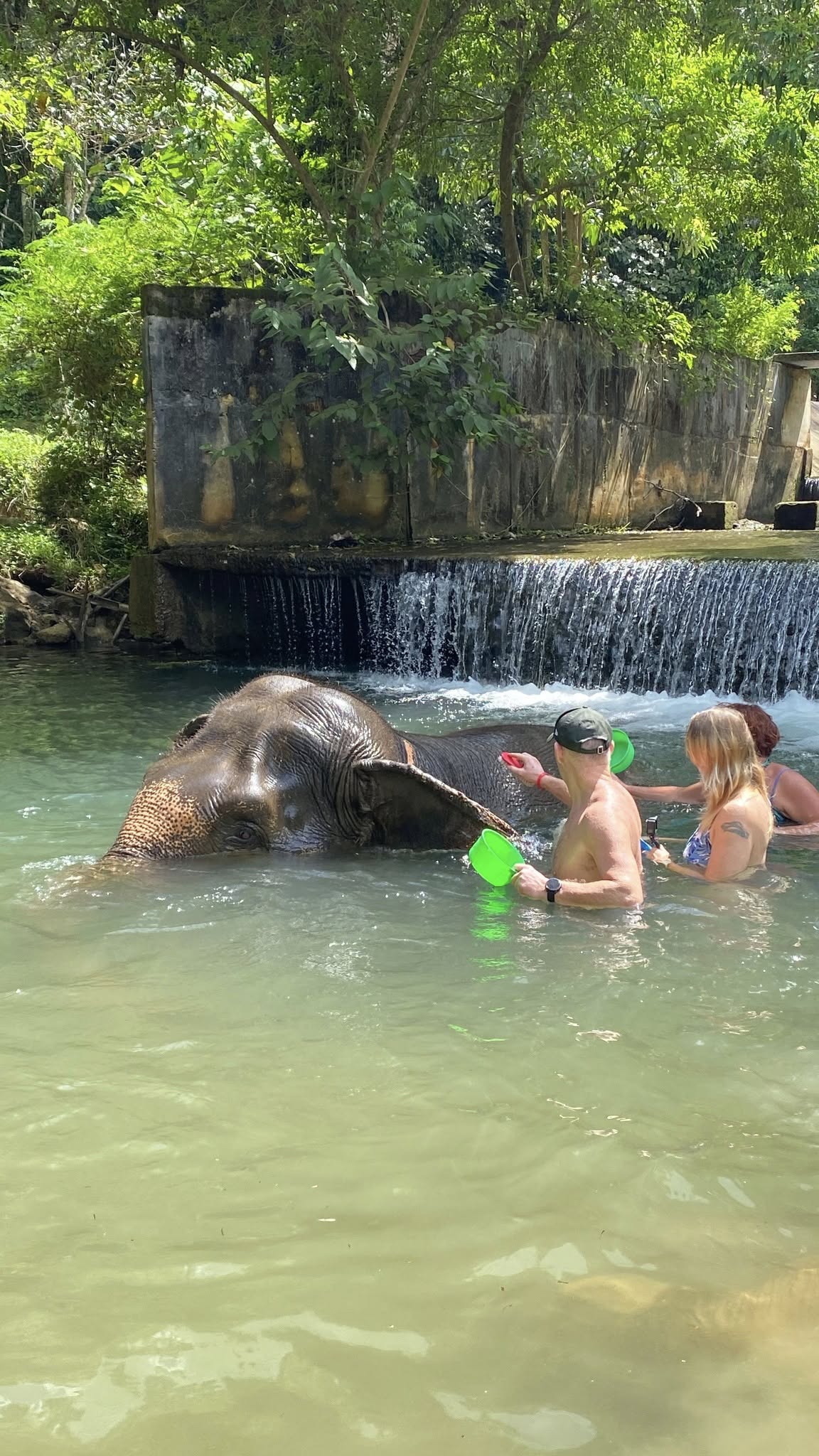 Krabi : Elephant Care House No Riding