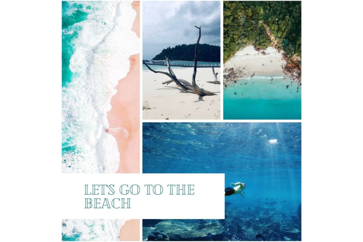 Krabi : Koh Rok And Koh Ha One Day Trip by Speed boat with Lunch