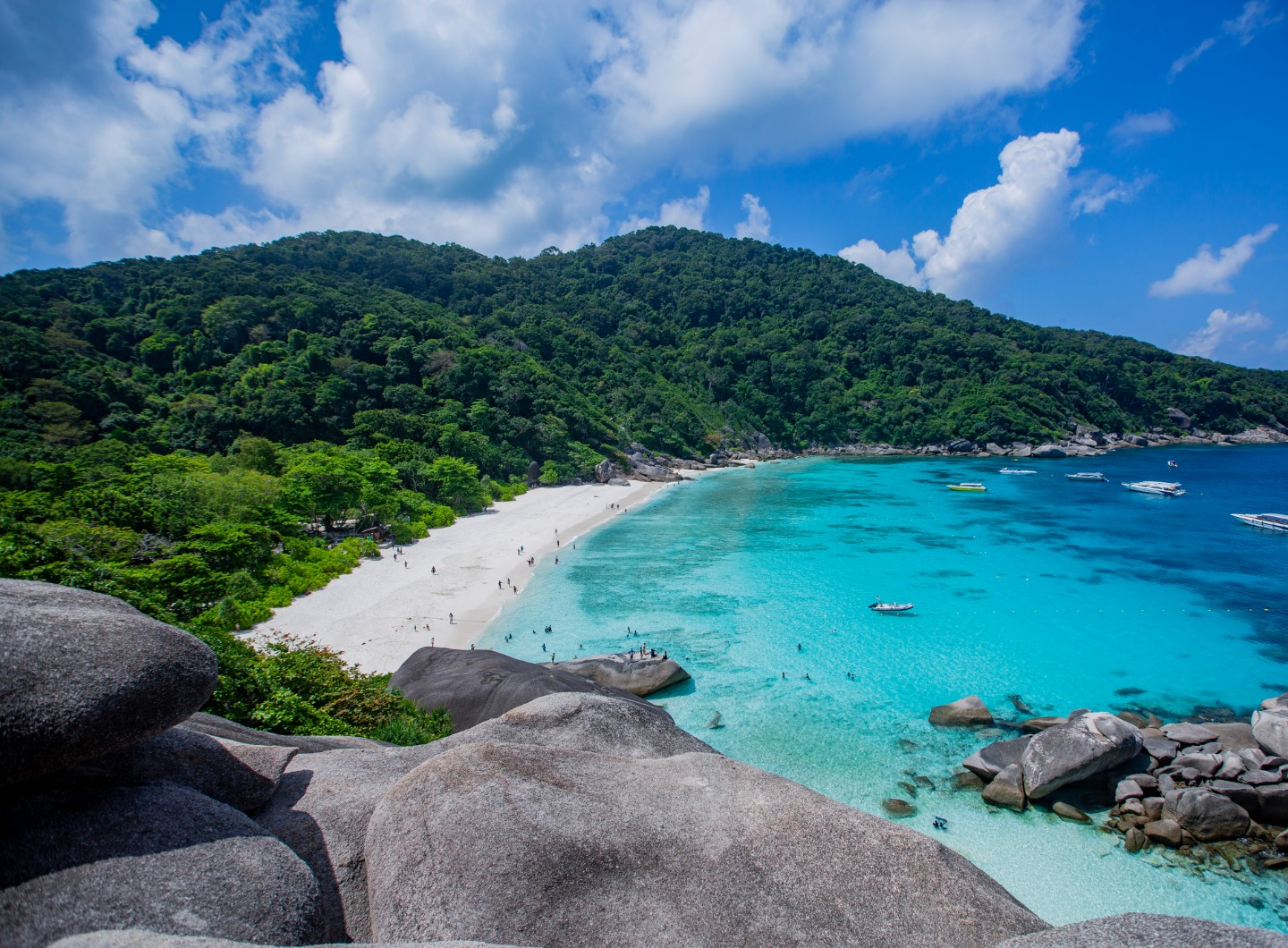 From Krabi : Similan Islands Snorkeling Trip by Speedboat