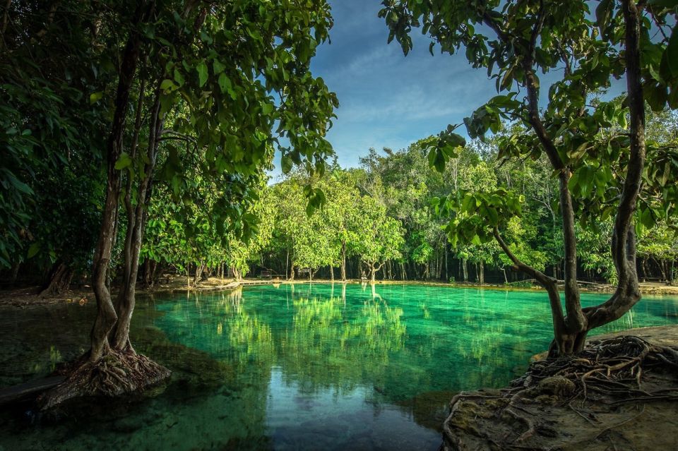 Krabi: Tiger Cave Temple, Emerald Pool and Hot Springs Tour with Lunch