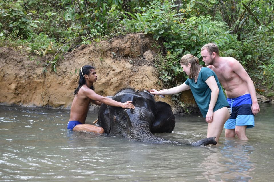 Krabi : Elephant Care House No Riding