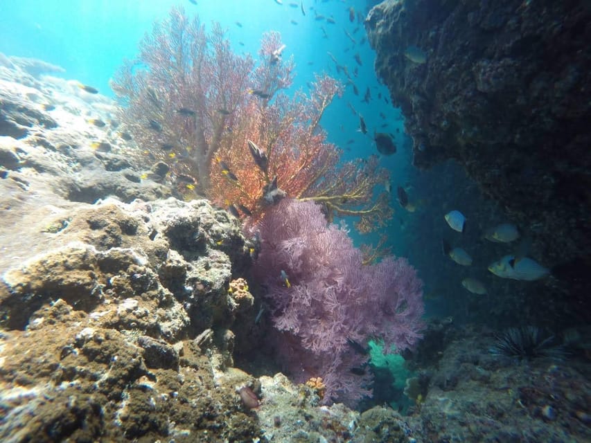 Krabi: Free diving and Snorkeling at Yawasam and Talu Island
