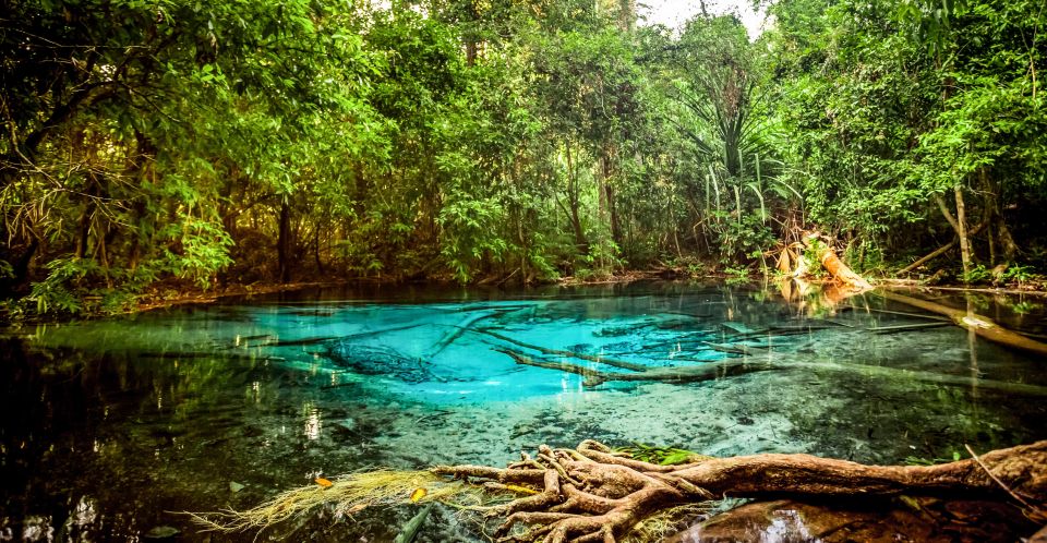 Krabi: Tiger Cave Temple, Emerald Pool and Hot Springs Tour with Lunch