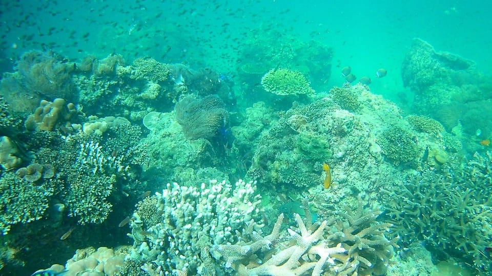 Krabi: Free diving and Snorkeling at Yawasam and Talu Island