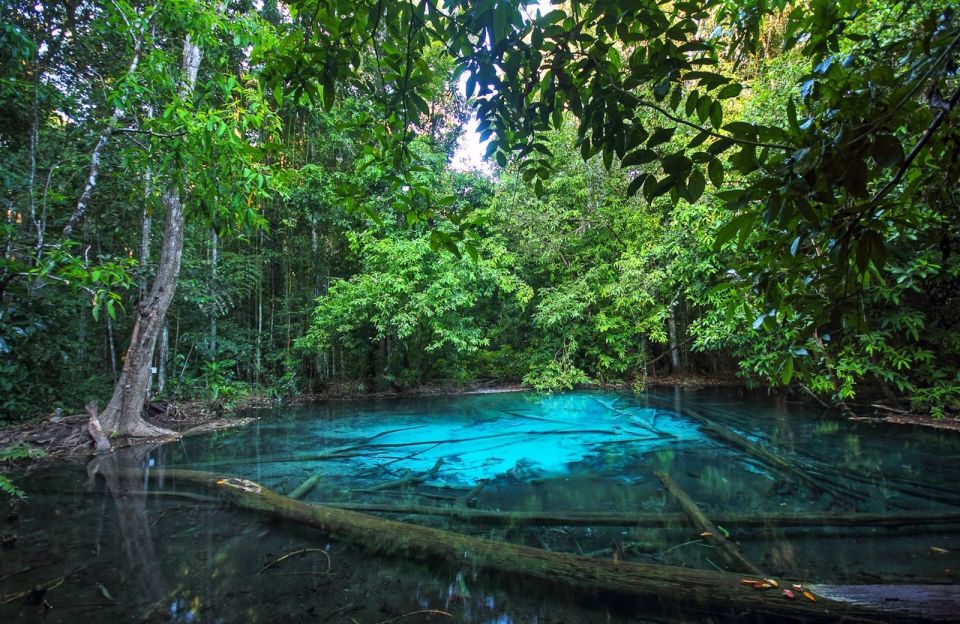 Krabi: Tiger Cave Temple, Emerald Pool and Hot Springs Tour with Lunch