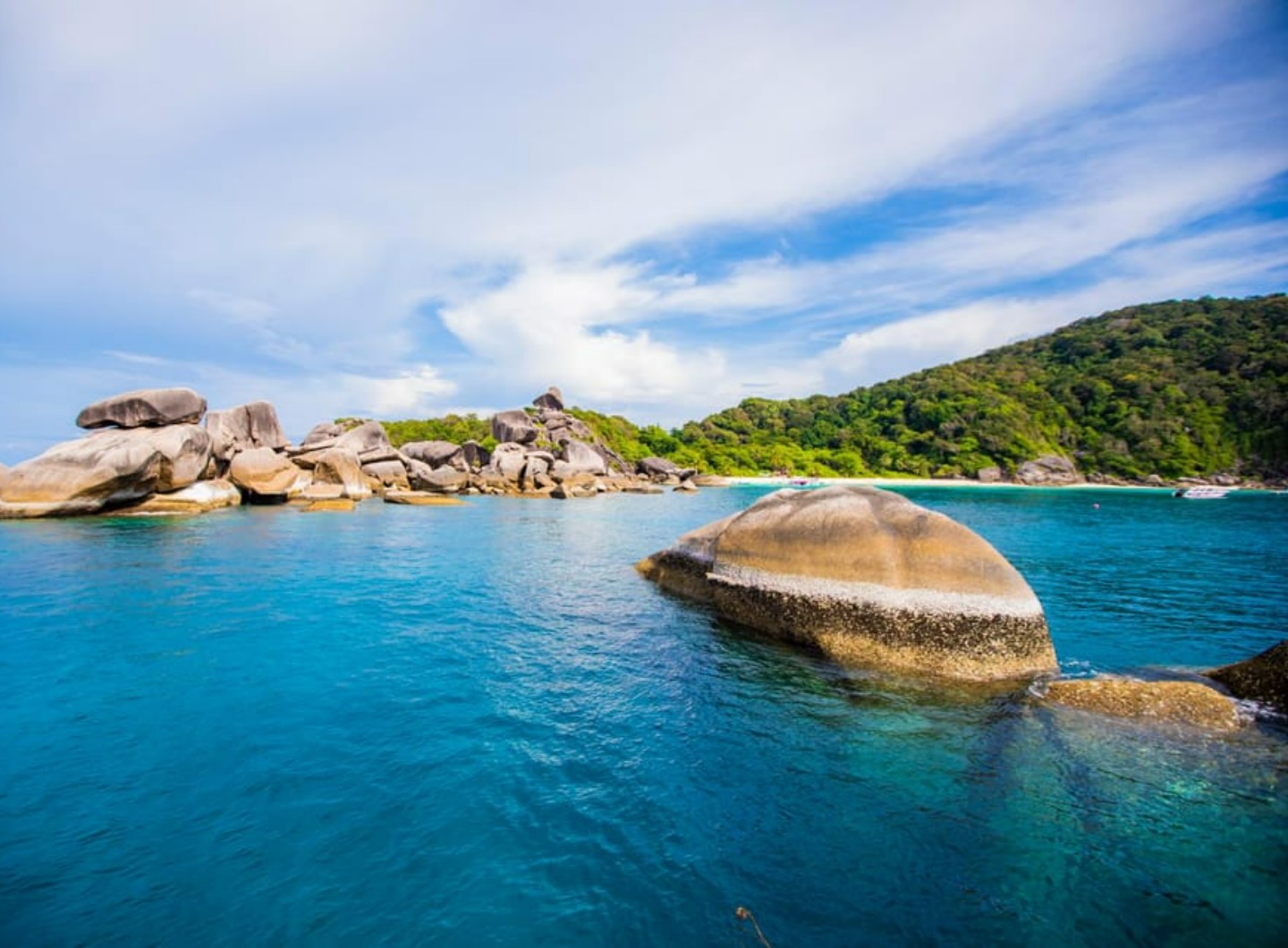 From Krabi : Similan Islands Snorkeling Trip by Speedboat