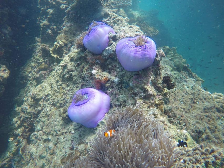 Krabi: Free diving and Snorkeling at Yawasam and Talu Island