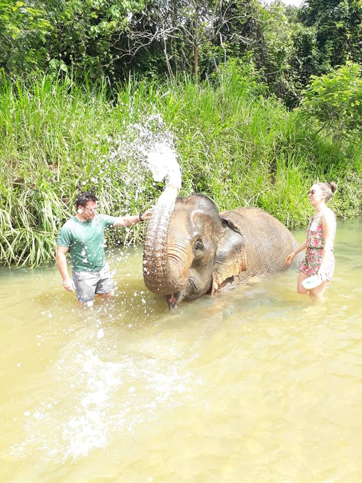 Krabi : Elephant Care House No Riding