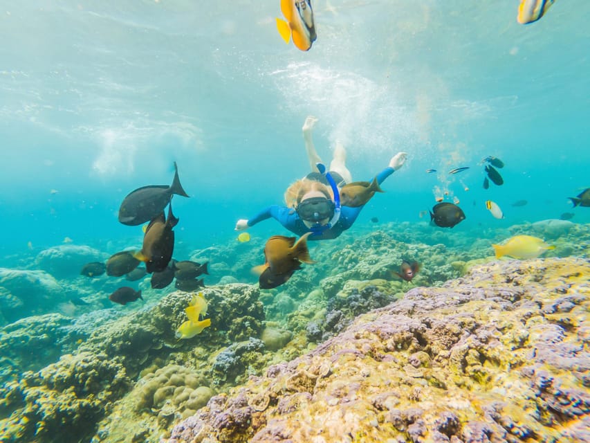 Krabi : Koh Rok And Koh Ha One Day Trip by Speed boat with Lunch