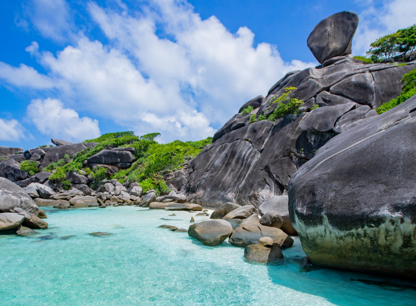 From Krabi : Similan Islands Snorkeling Trip by Speedboat