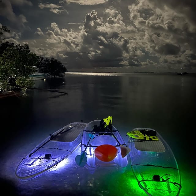 Railay: Illuminated Clear Kayak Night Tour Bioluminescence