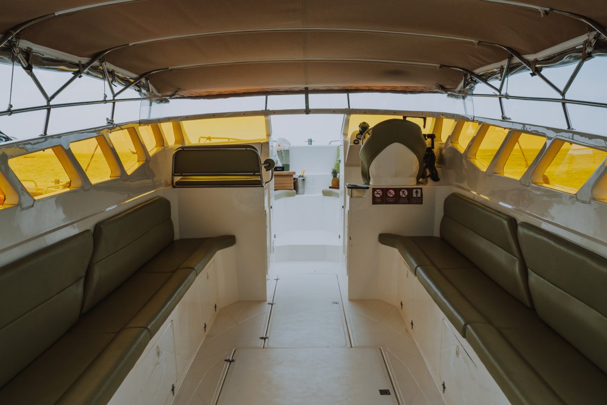 Krabi: Phi Phi Island by Luxury Speed Boat Private
