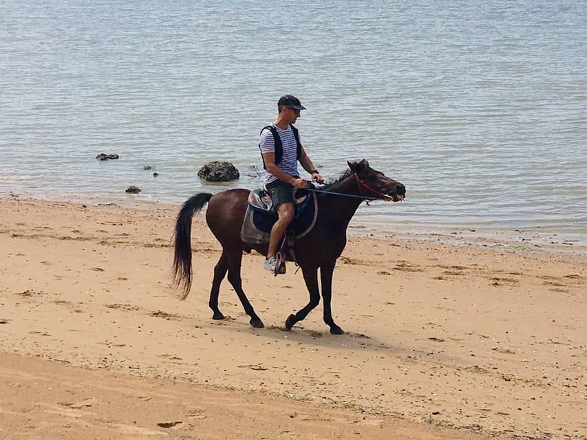 Krabi: Horseback Riding on the Beach