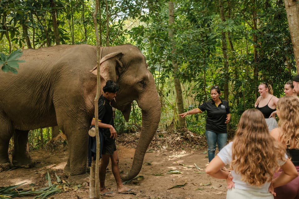 Krabi: Love Elephant Sanctuary