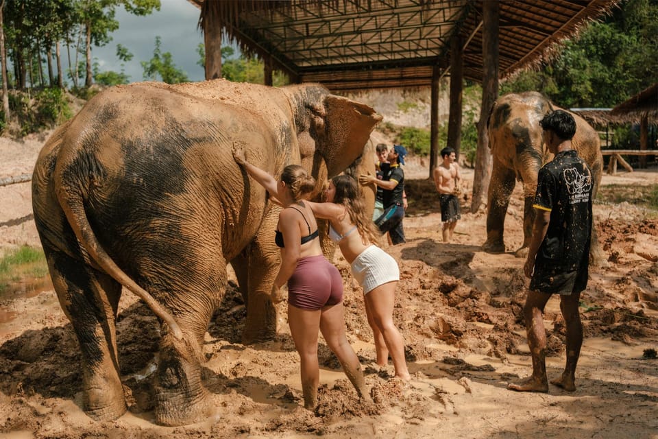 Krabi: Love Elephant Sanctuary