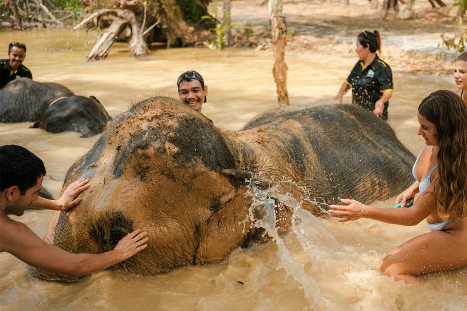 Krabi: Love Elephant Sanctuary