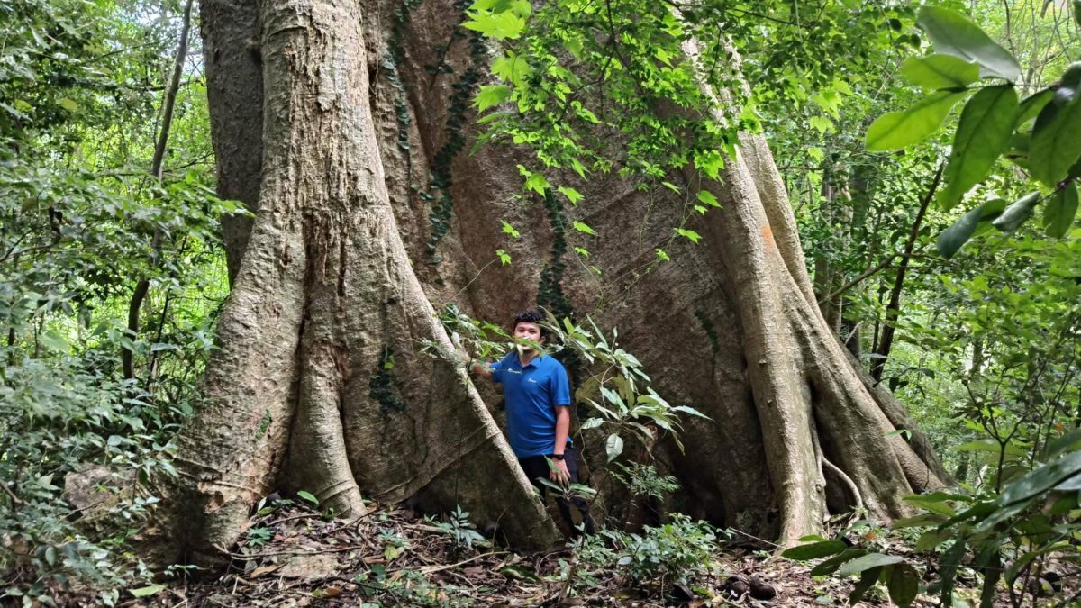Krabi: Old Elephant Home Sanctuary