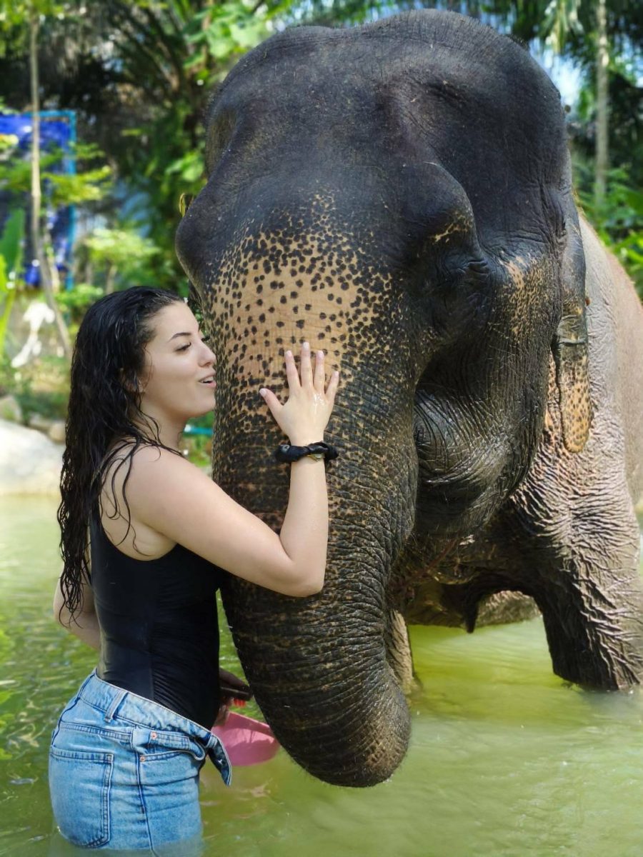 Krabi: Old Elephant Home Sanctuary
