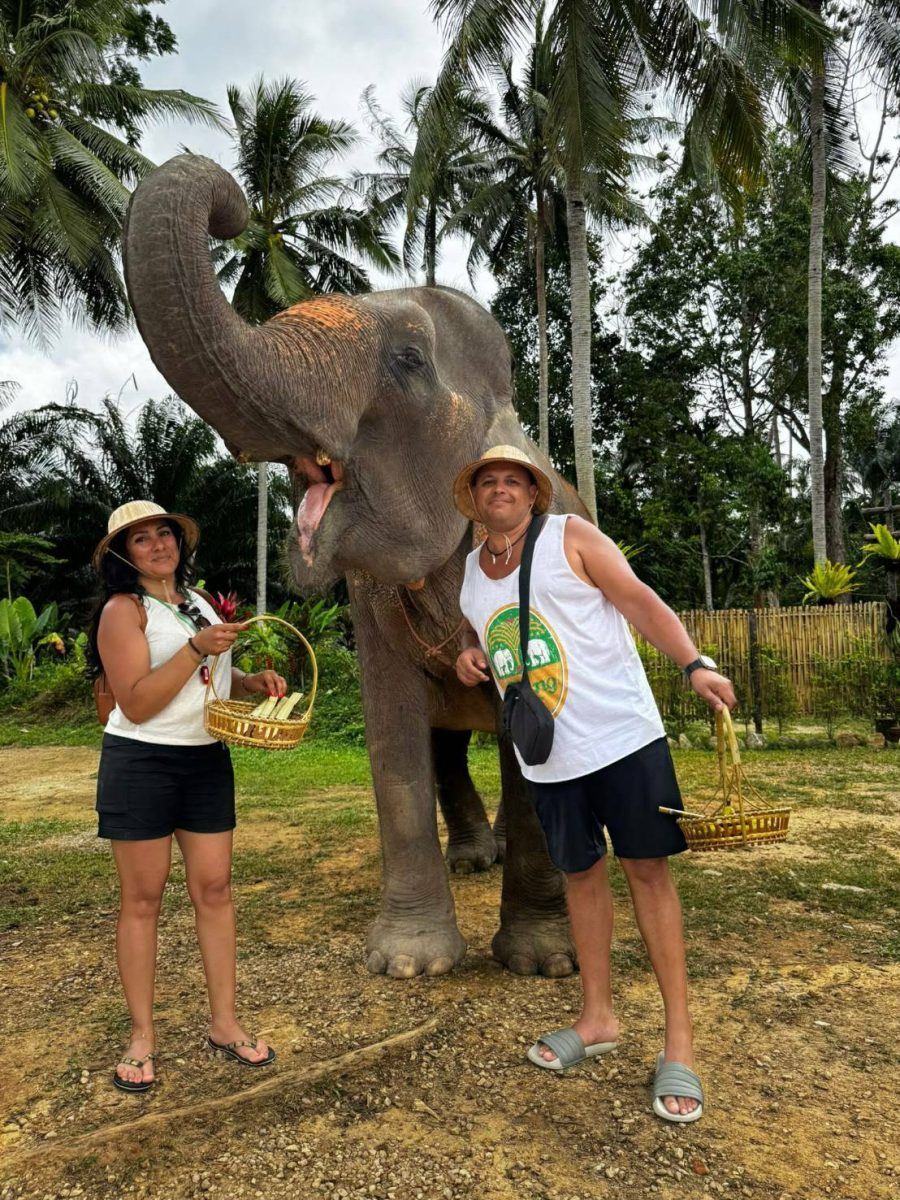 Krabi: Old Elephant Home Sanctuary