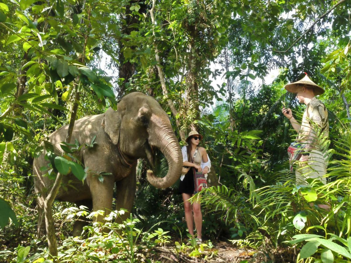 Krabi: Old Elephant Home Sanctuary