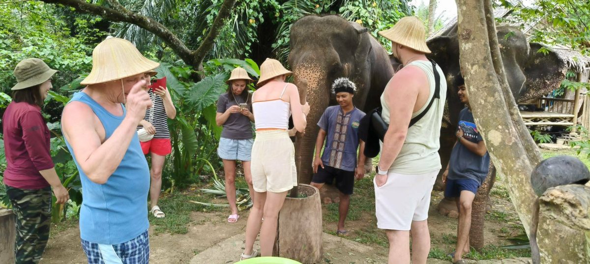 Krabi: Old Elephant Home Sanctuary