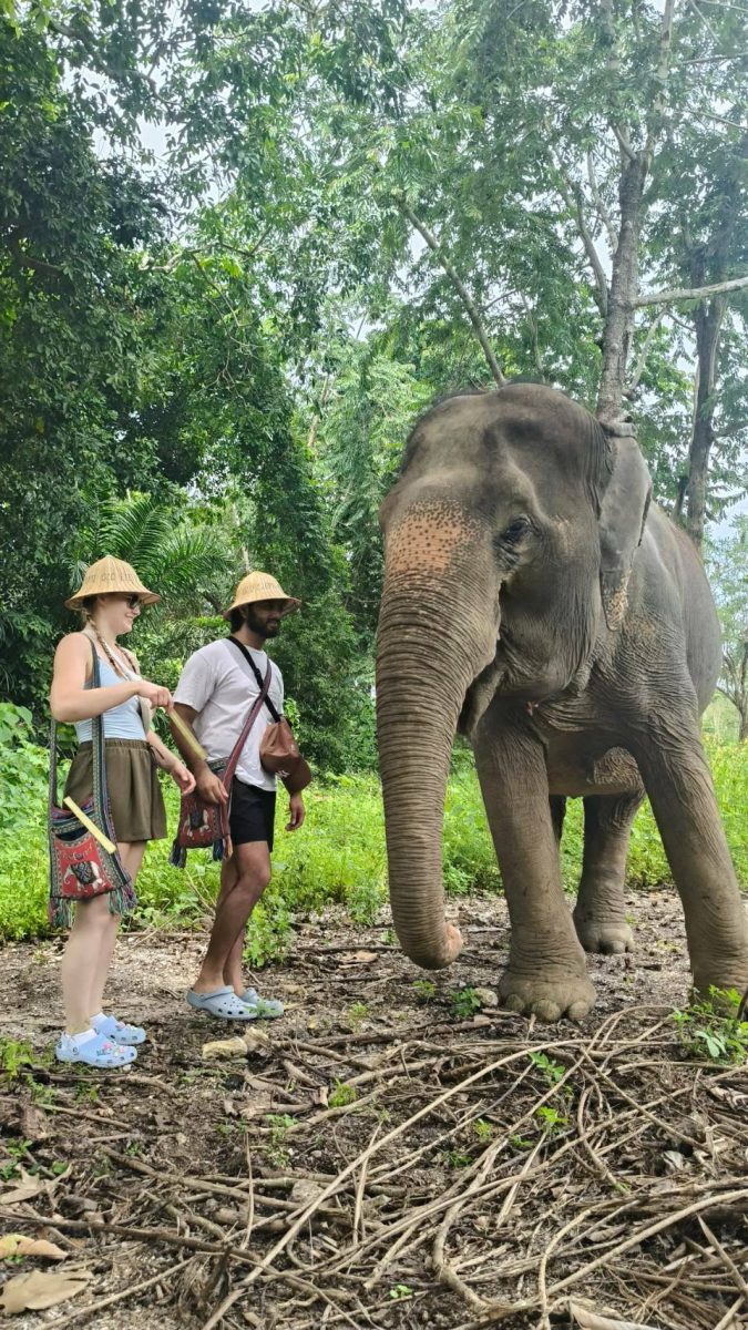 Krabi: Old Elephant Home Sanctuary
