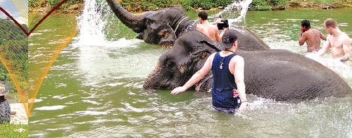 [ From Phuket ] :Phang Nga Rafting & Adventure Tour