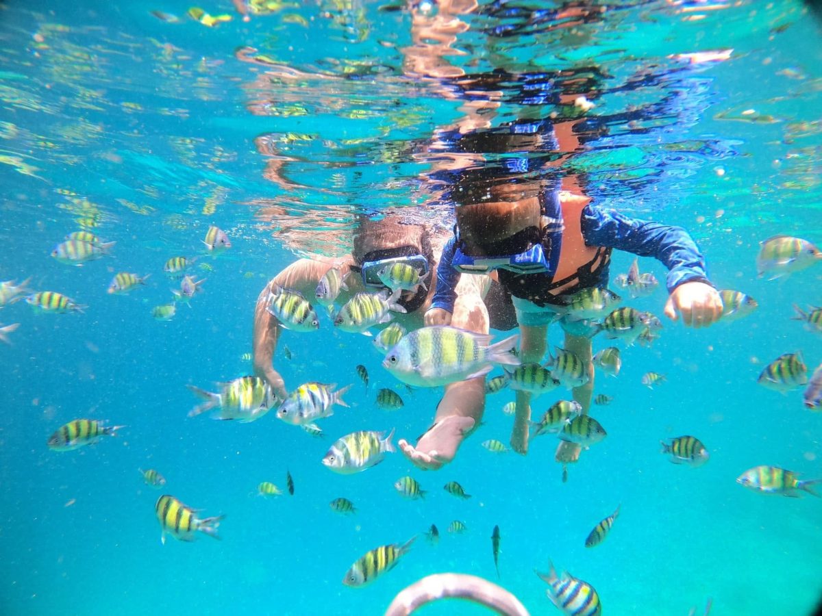 [From Phuket]: Phi Phi Cruiser – Phi Phi Island One Day Trip