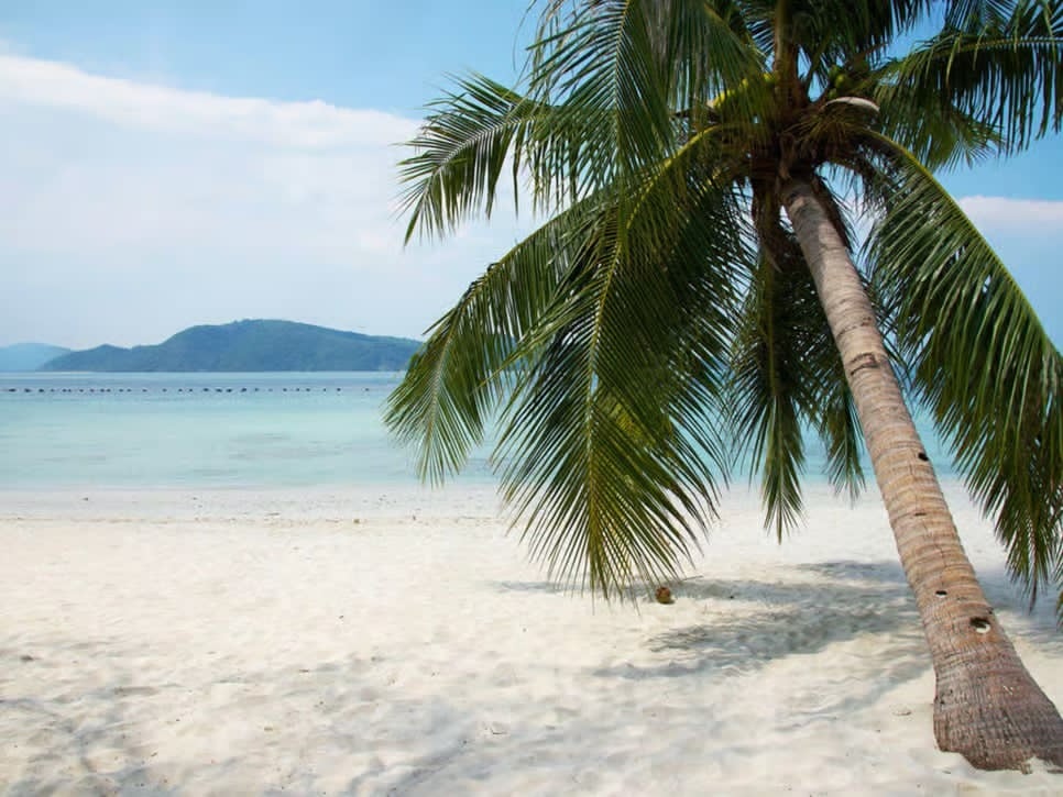 Phuket : Racha Island & Coral Island Tour by Speedboat